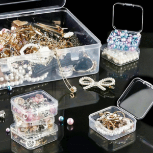 Transparent Plastic Storage Box