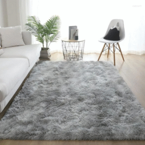 Plush Carpet for Living Room