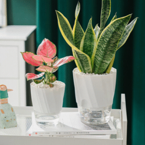 Indoor Wicking Planter for Home Décor & Houseplants